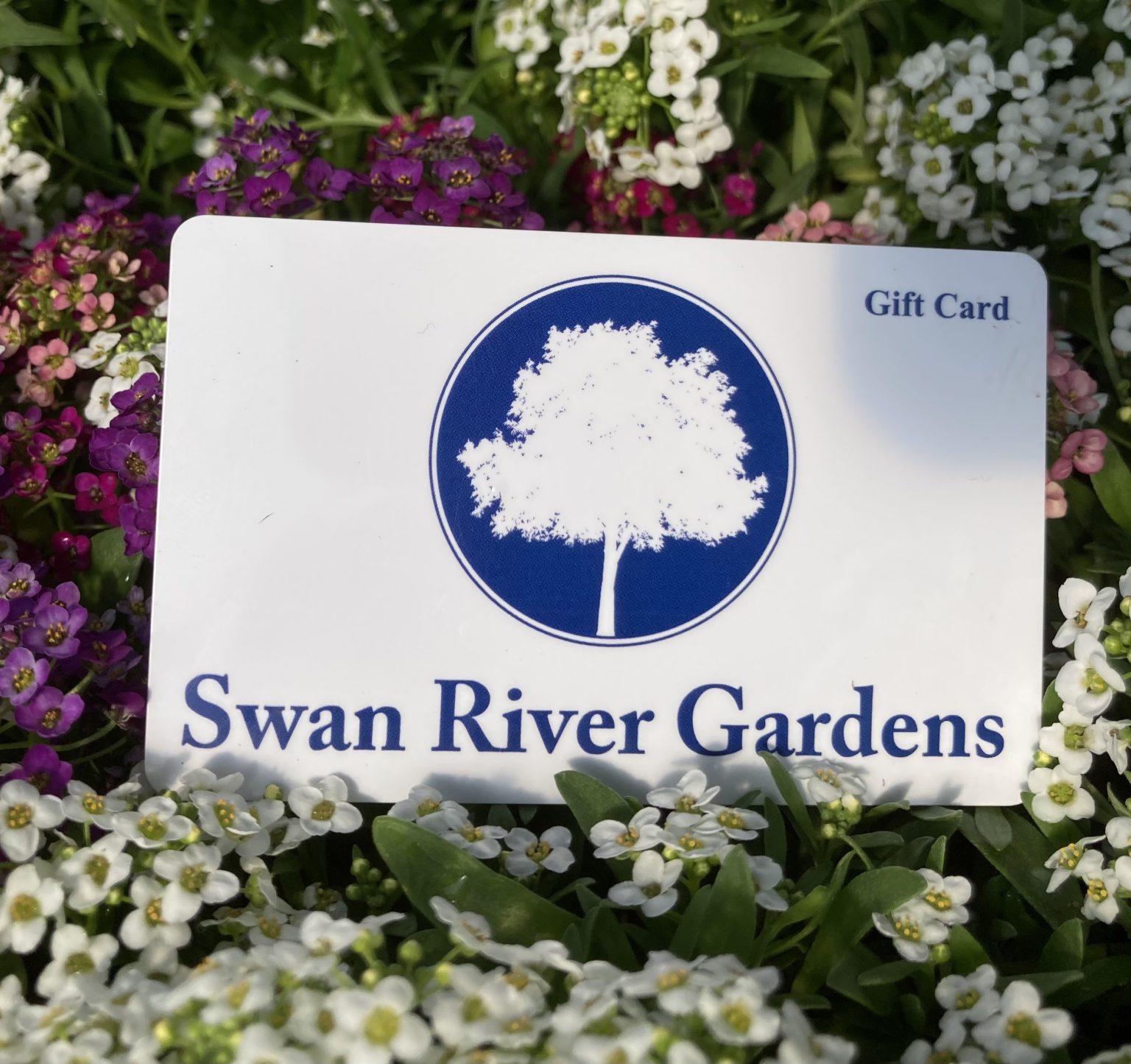 Swan River Gardens