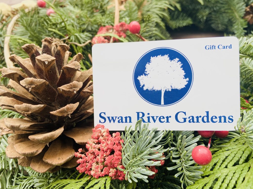 Christmas gift card
