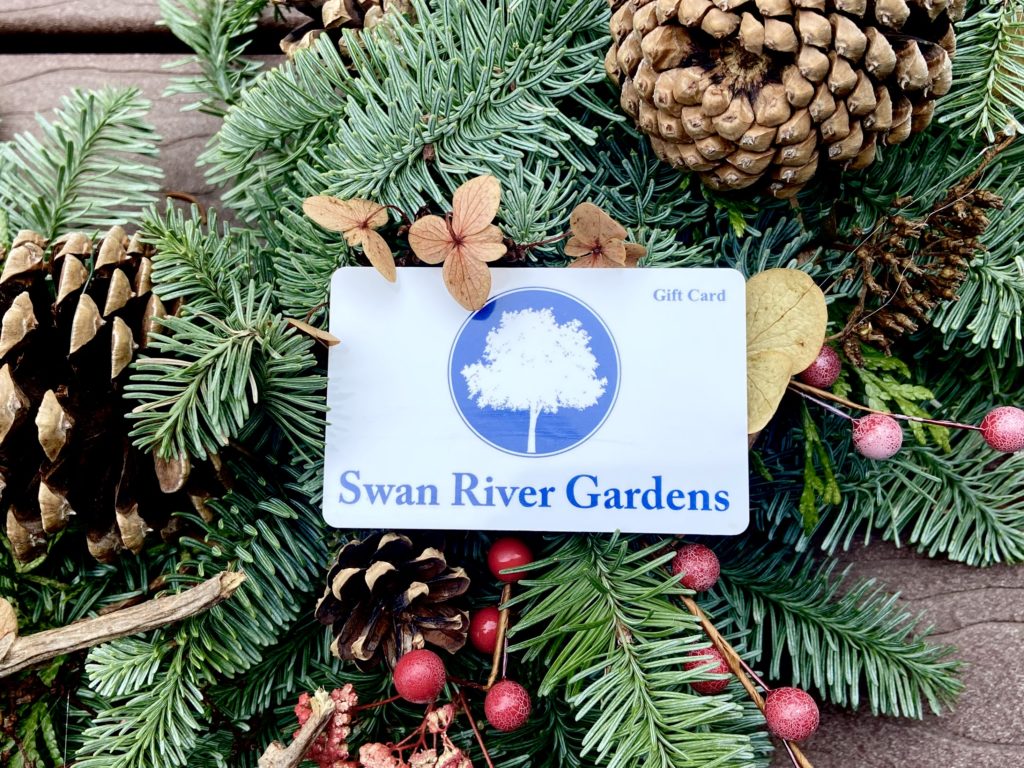 Christmas gift card 2