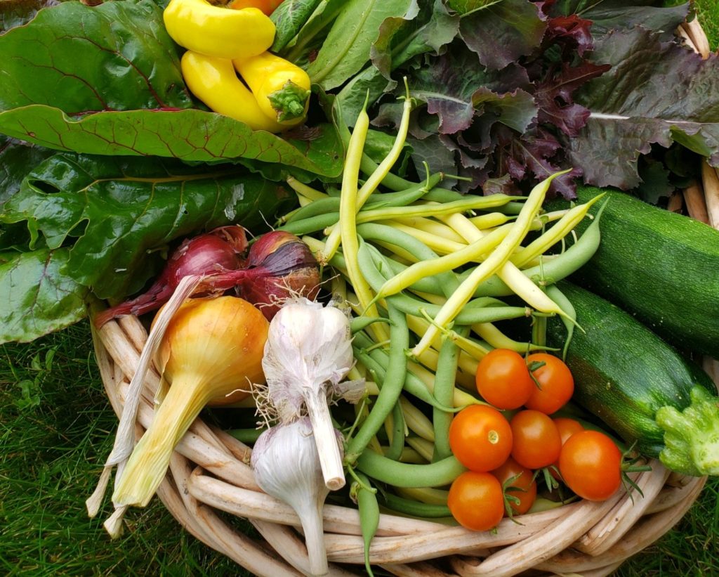 veggies (3)